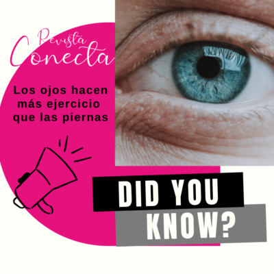 CURIOSIDADES. ¿Sabías que…? Los ojos hacen más ejercicio que las piernas