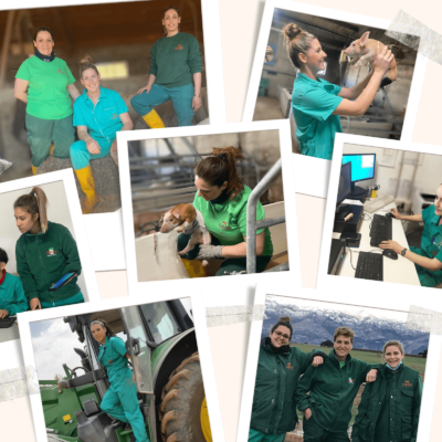 Cefusa potencia la presencia de la mujer en la actividad ganadera