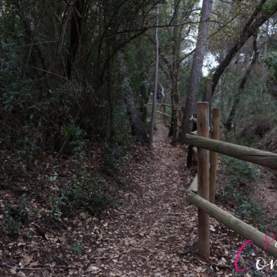 VIJANDO POR LA REGIÓN DE MURCIA: Barranco de la Regidora (Bullas)