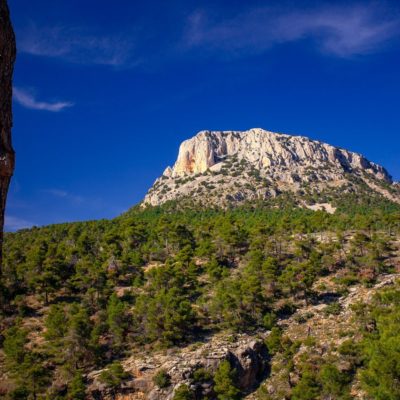 Más de una veintena de actividades didácticas para disfrutar en verano de los espacios naturales de la Región de Murcia