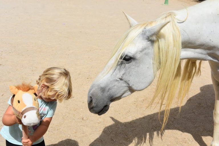 ENTREVISTA | Fundación Cavalli promueve un proyecto pedagógico con caballos y naturaleza que fomenta el bienestar de los niños