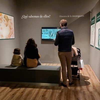 REGIÓN DE MURCIA | 
        El Museo Arqueológico de Murcia amplía su exposición ‘Ancestros’ y la complementa con un ciclo de actividades divulgativas y científicas