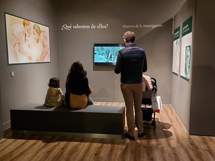 REGIÓN DE MURCIA | 
        El Museo Arqueológico de Murcia amplía su exposición ‘Ancestros’ y la complementa con un ciclo de actividades divulgativas y científicas