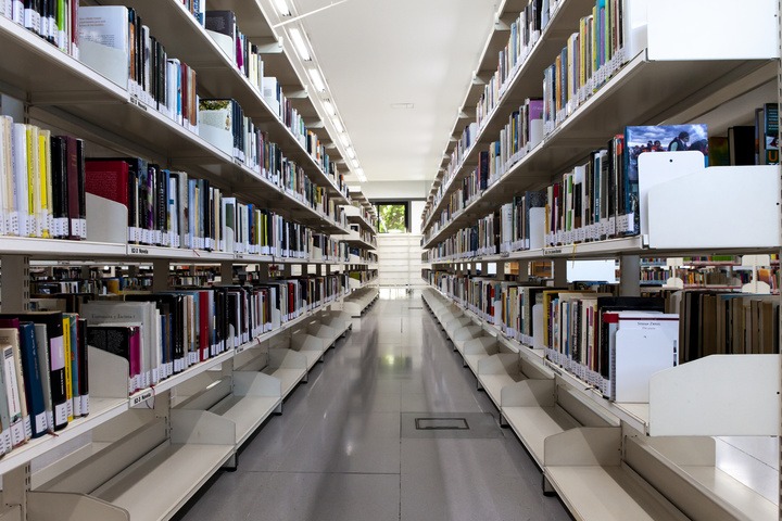 REGIÓN DE MURCIA | 
        ‘Sira’ y ‘La bestia: Madrid 1834’, los libros más prestados en la Biblioteca Regional en 2022