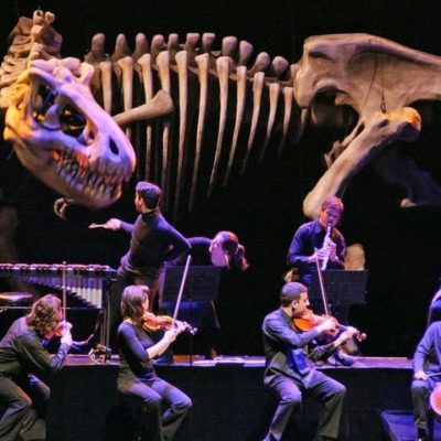 REGIÓN DE MURCIA | 
        La Orquesta Sinfónica de la Región interpreta el domingo ‘Soñando el carnaval de los animales’ con la compañía Títeres Etcétera