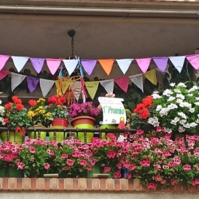 ALHAMA DE MURCIA | Premios del III Concurso de Decoración de Balcones y Ventanas Los Mayos 2023