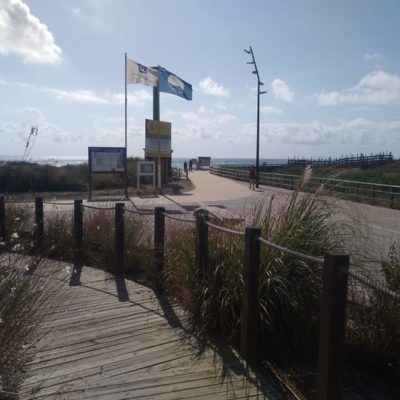 TURISMO | Las playas de El Portús, Las Salinas y Torre Derribada estrenan bandera azul este verano 
