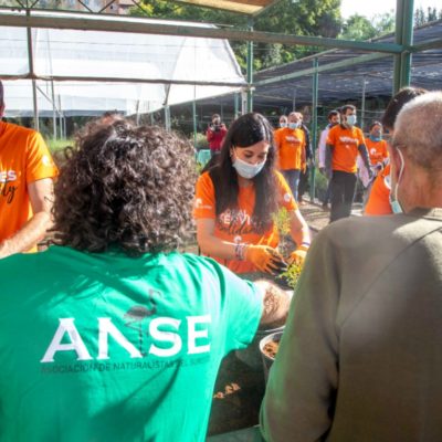 CARTAGENA | Anse analiza sus 50 años de vida con una mesa redonda este martes en el Arqua de Cartagena