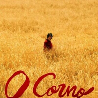CULTURA | 
        La Filmoteca comienza este año su actividad en Cartagena con la proyección de ‘O corno’, la película ganadora de la Concha de Oro