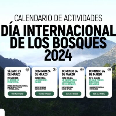 Actividades gratuitas por el Día Internacional de los Bosques 2024