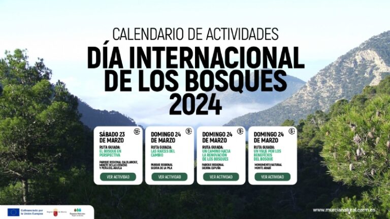 Actividades gratuitas por el Día Internacional de los Bosques 2024