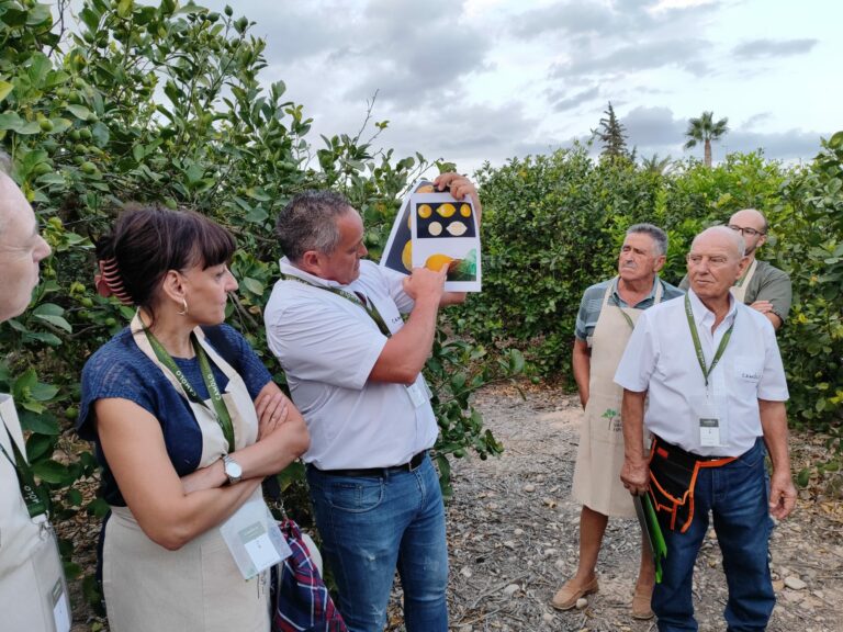 La Mancomunidad de Sierra Espuña y el Ayuntamiento de Pliego organizan el primer curso de agroturismo del TSE