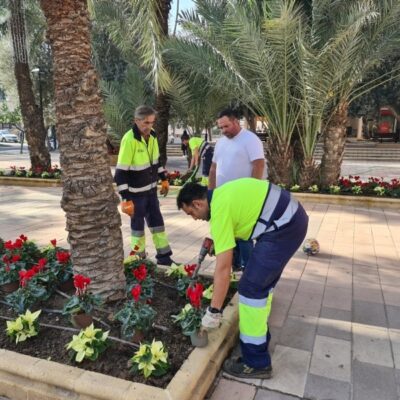 Alhama de Murcia luce su Navidad 2024 con plantas naturales