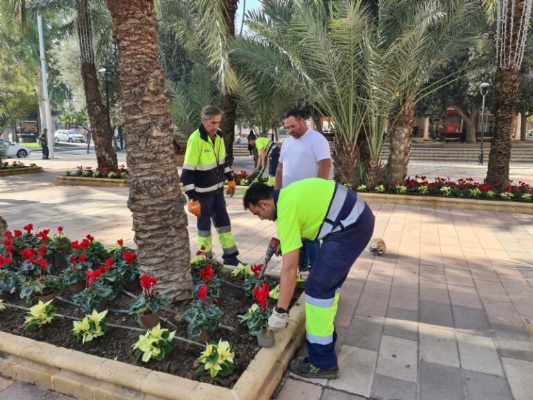 Alhama de Murcia luce su Navidad 2024 con plantas naturales