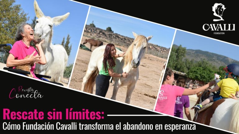 ENTREVISTA | Rescate sin límites: Cómo Fundación Cavalli transforma el abandono en esperanza